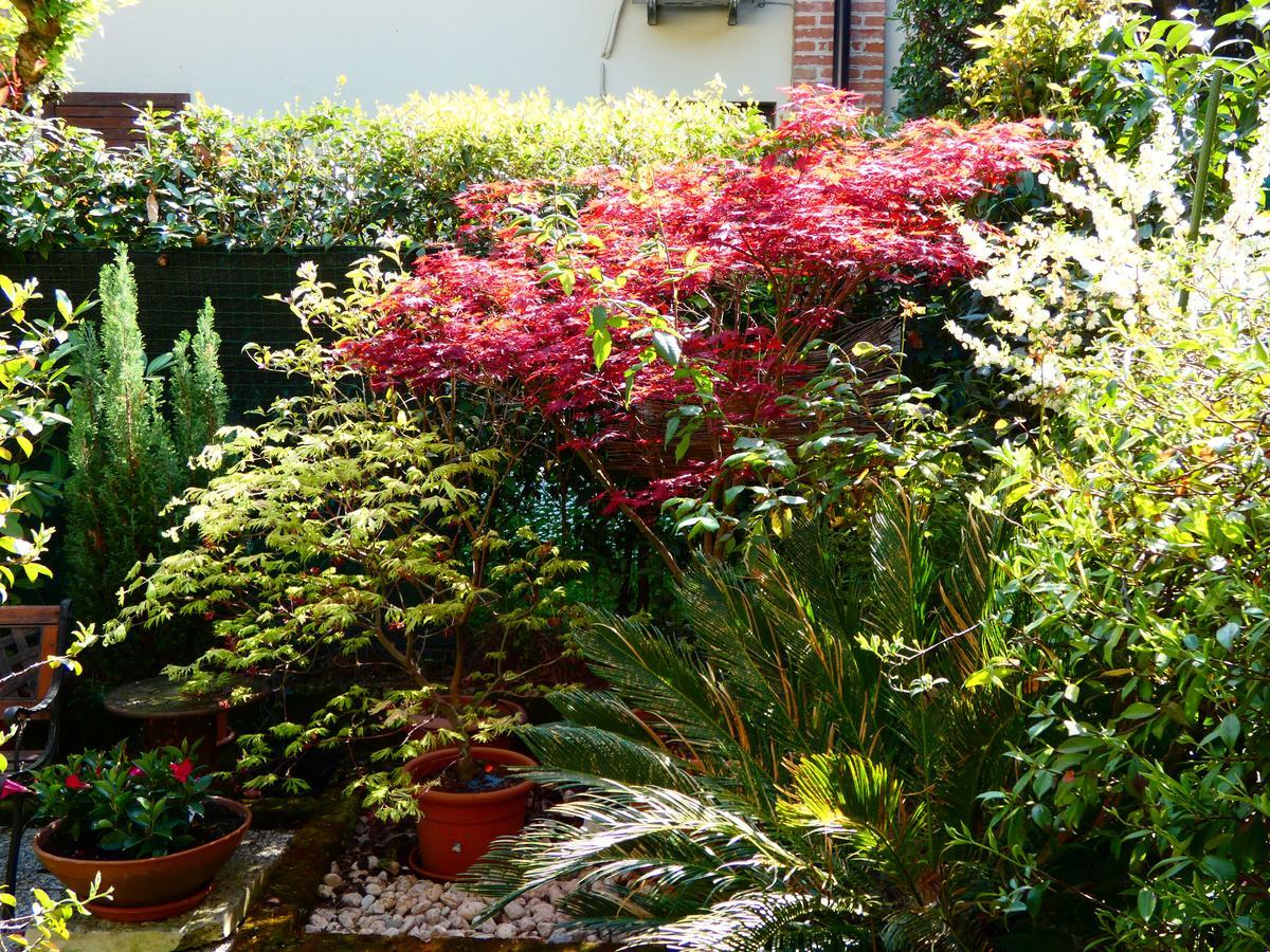 Garden Sweet House Desenzano Apartment Desenzano del Garda Bagian luar foto